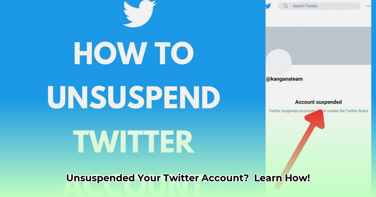 how-to-unsuspend-a-twitter-account